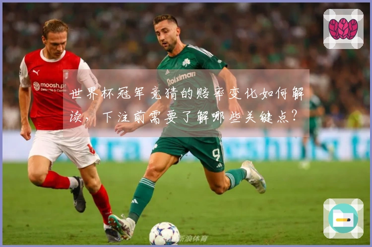 世界杯冠军竞猜的赔率变化如何解读，下注前需要了解哪些关键点？