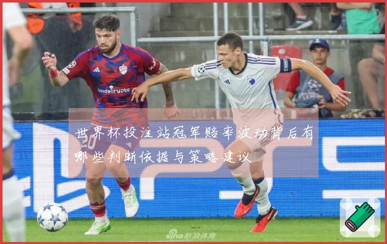 世界杯投注站冠军赔率波动背后有哪些判断依据与策略建议