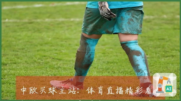 中欧买球主站：体育直播精彩看点与贴心功能，新手也能轻松上手