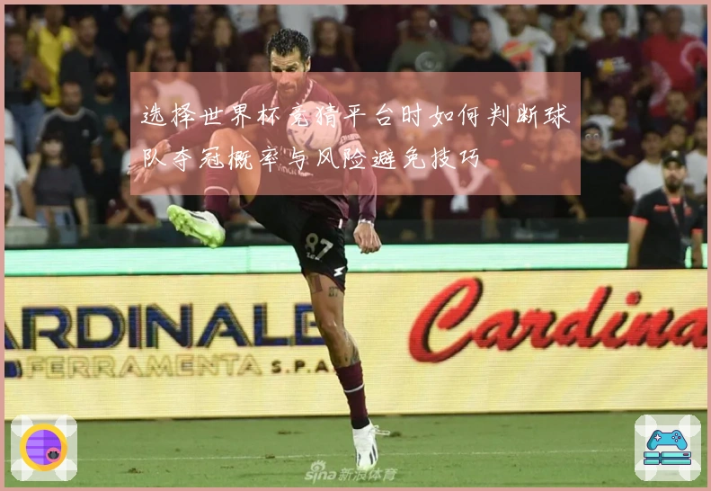 选择世界杯竞猜平台时如何判断球队夺冠概率与风险避免技巧