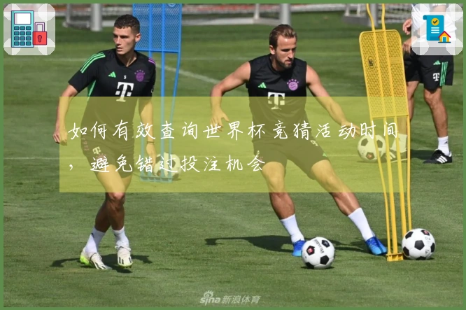 如何有效查询世界杯竞猜活动时间，避免错过投注机会