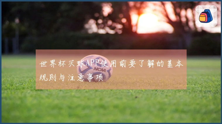 世界杯买球APP使用前要了解的基本规则与注意事项