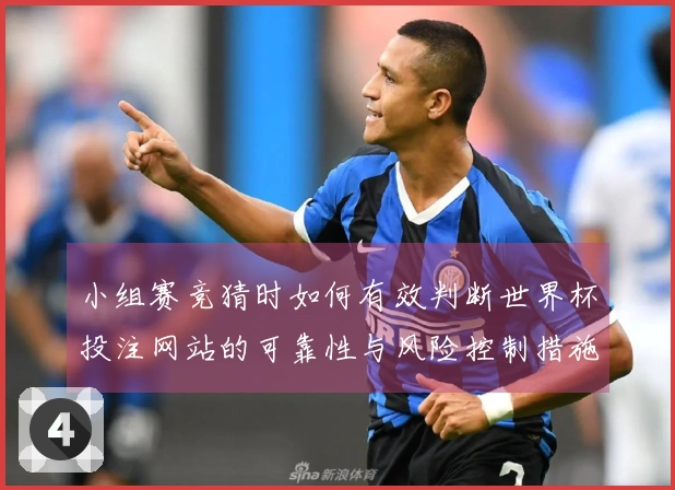 小组赛竞猜时如何有效判断世界杯投注网站的可靠性与风险控制措施