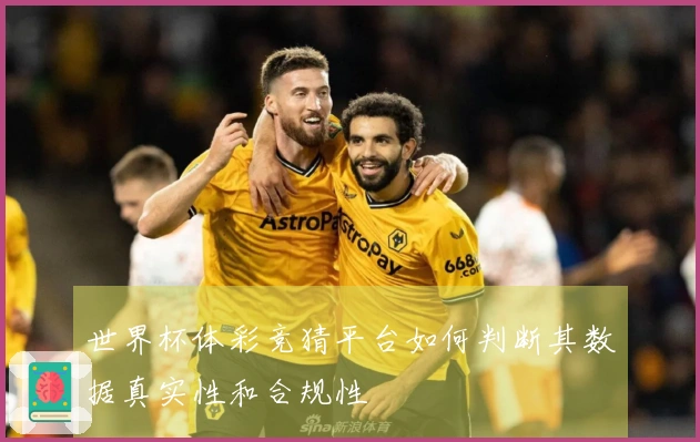 世界杯体彩竞猜平台如何判断其数据真实性和合规性