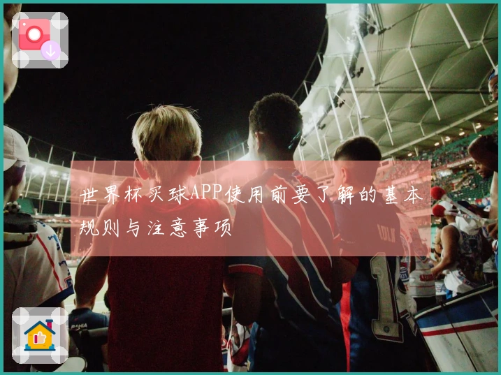 世界杯买球APP使用前要了解的基本规则与注意事项