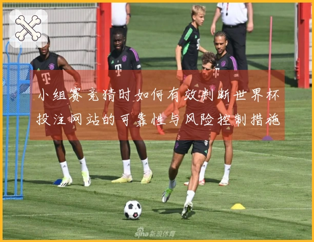 小组赛竞猜时如何有效判断世界杯投注网站的可靠性与风险控制措施